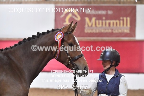 BPP_1367 - MORNING 9AM - 12PM