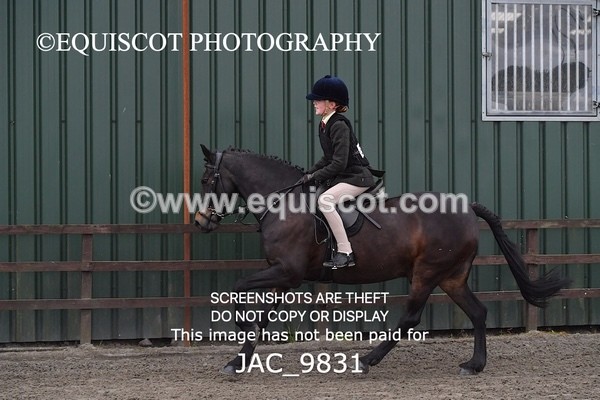 JAC_9831 - CLASS 2 Novice Working Hunter (0.60m - 0.70m)