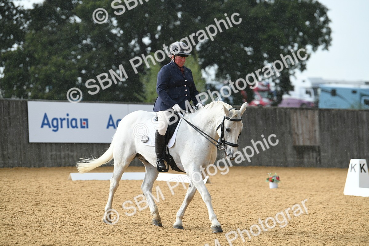 SBM_11140 - D28 Elementary Taster Elementary 42