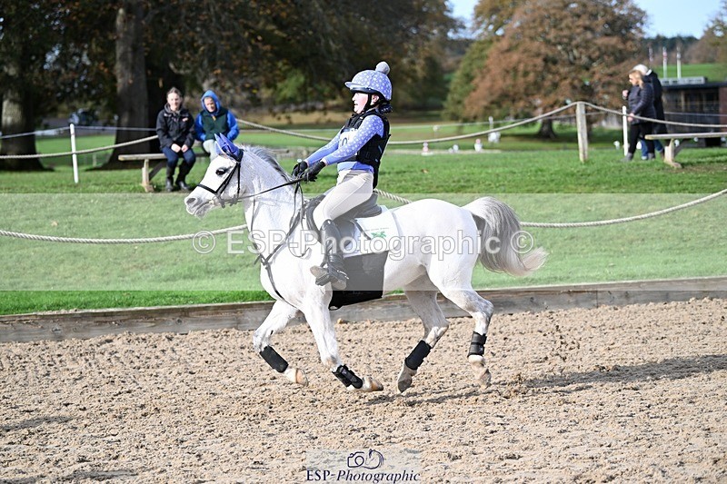 241117-111153-03446 - Cls 2 80-85cm 10.20 to 11.20