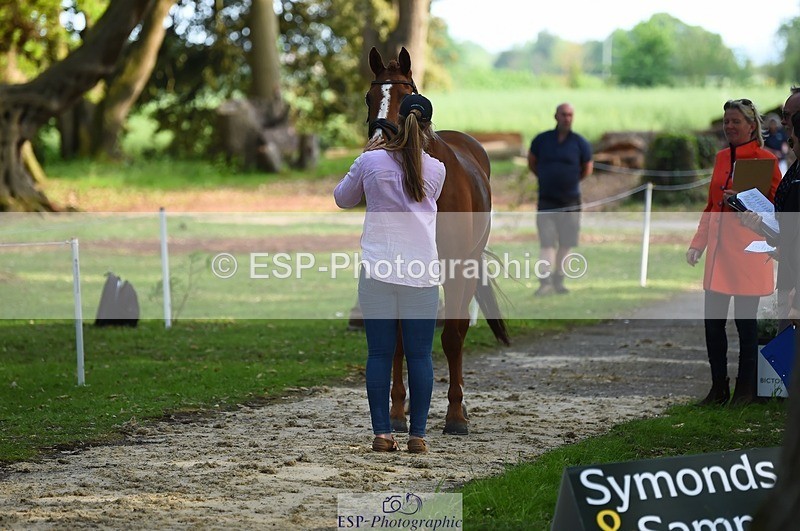 230525-173138-01497 - 323-CHESTNUT_BOBBY-Molly_Fletcher-WEDTrotUp+DR