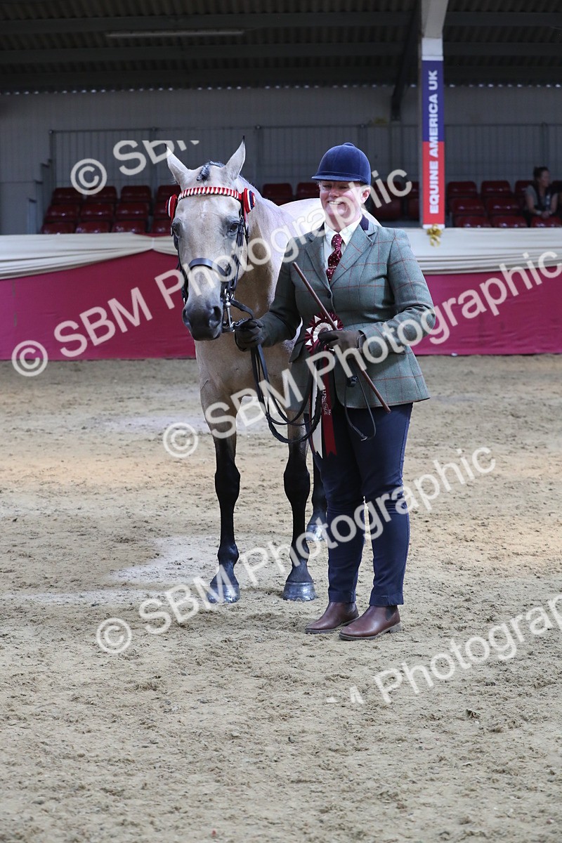 SBM_06589 - Regional IH Champ