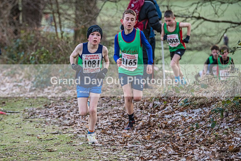 Cumbria XC-4 - Cumbria Cross Country Championships (Junior & Senior Races) Saturday 3rd January 2026