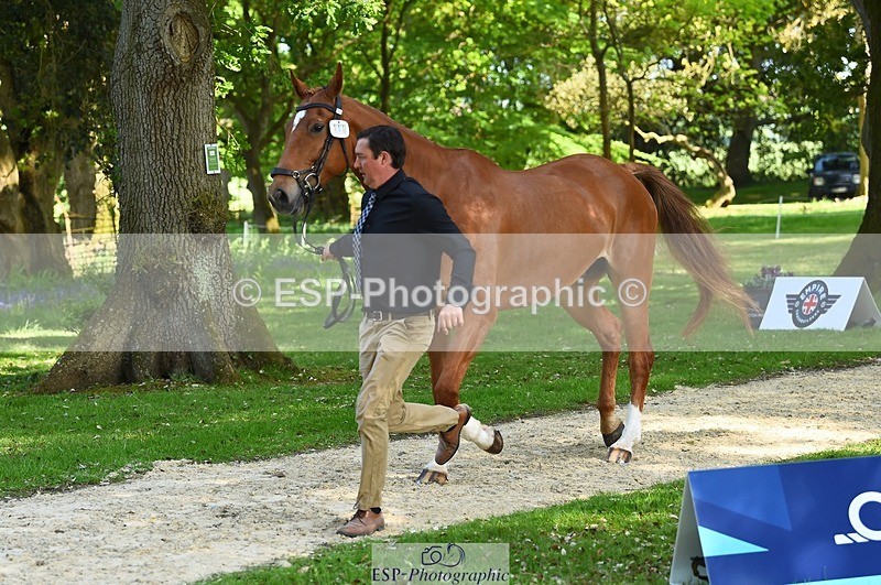 230524-164056-01020 - 111-CREEVAGHSTABLES_IFICUDIWUD-Tim_Cheffings-WEDTrotUp+DR