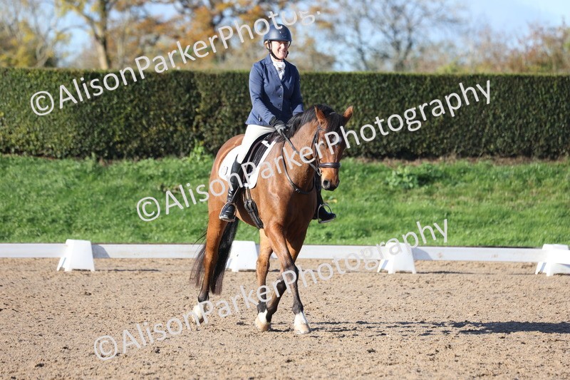 20251102-0410 - Class 3 - Novice 5