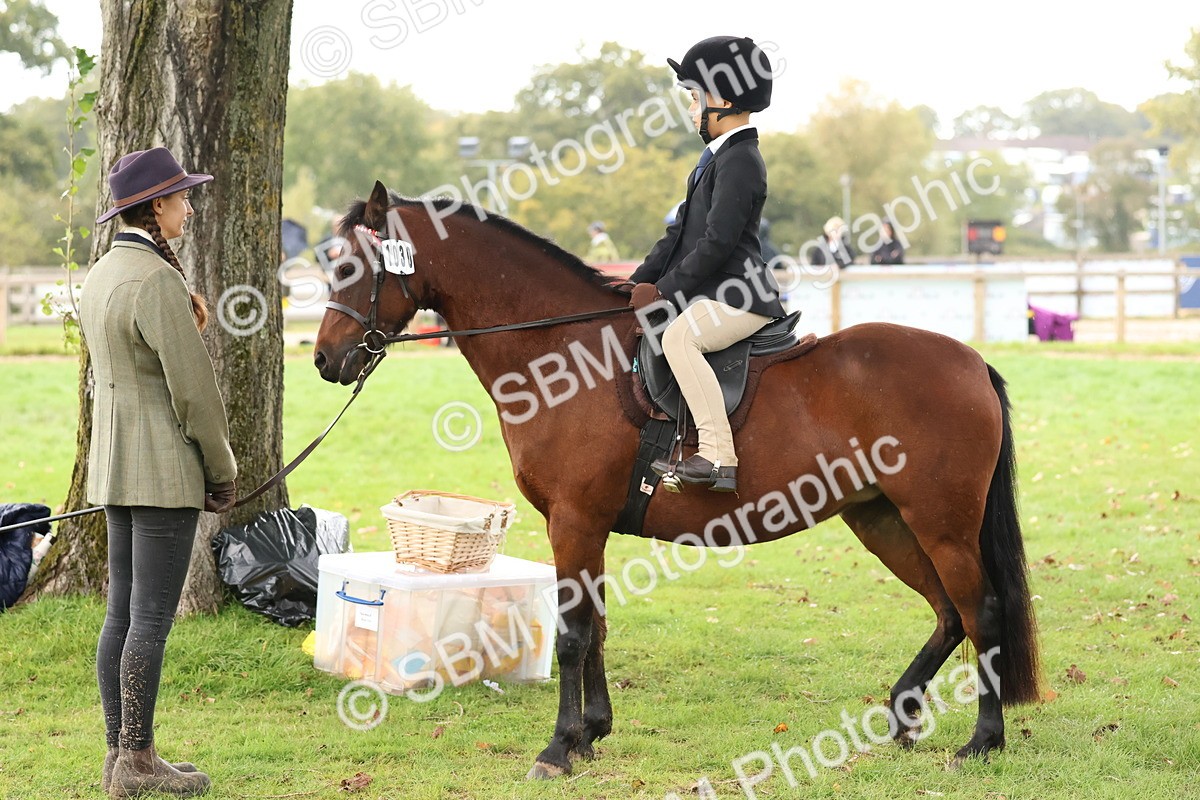 SBM_45029 - S27 - Young Veteran Ridden