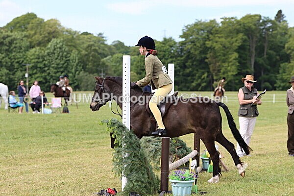 IMG_2575 - Working Hunter