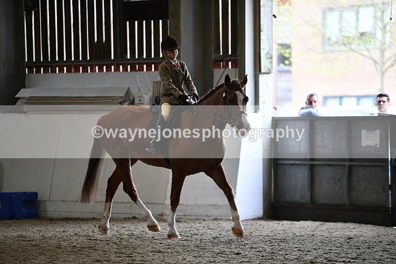 WJ5_6379 - Class 9 Ridden Veteran