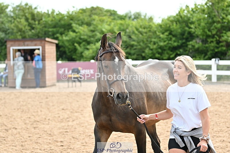 240717A-163903-03478 - Trot Up 4pm to 5pm