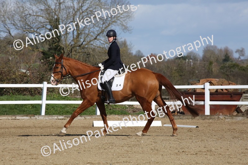 20260314-4138 - CT4 - Novice 1