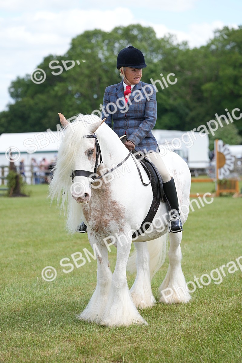 SBM_17175 - Class 107-108 - LIHS BSPS Performance Coloured Horse Pony