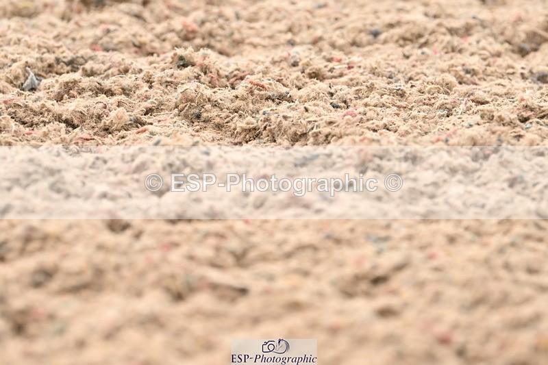 240621A-172432-05967 - Cls 14 BD Adv Medium 98