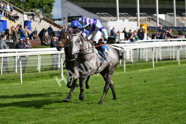 yr22052021r7-36 - Race 7 5.25pm Hudson Quarter York Palace Capital Stakes - Gentleman Amateur Riders Race