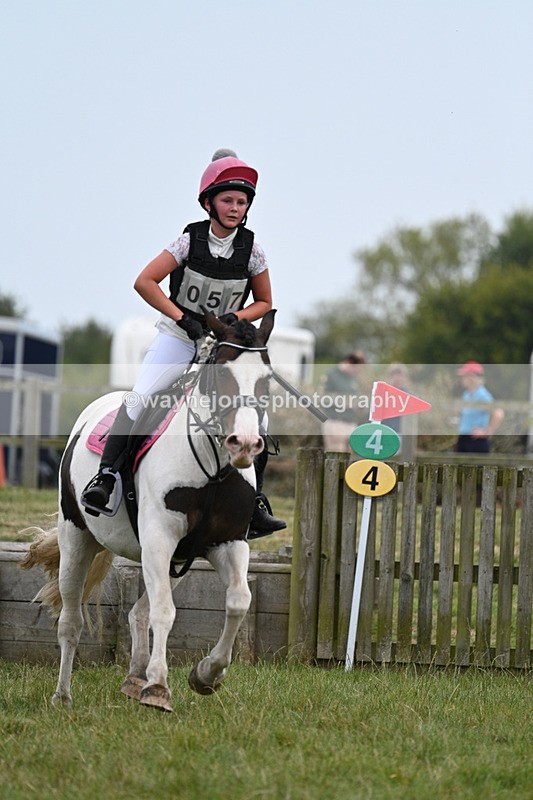 WJ7_8510 - 80cm XC Time 15:45 to 16:02