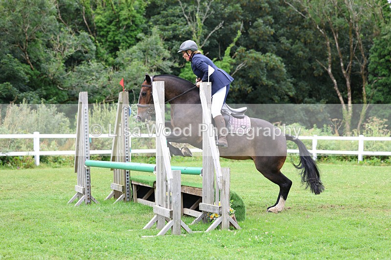 3E7A2006 - Class 6: Veteran 45 and over