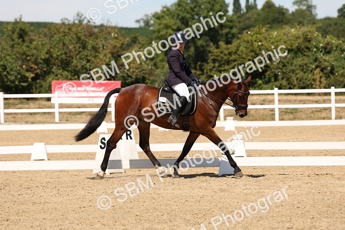 SBM_002907 - Elementary 4