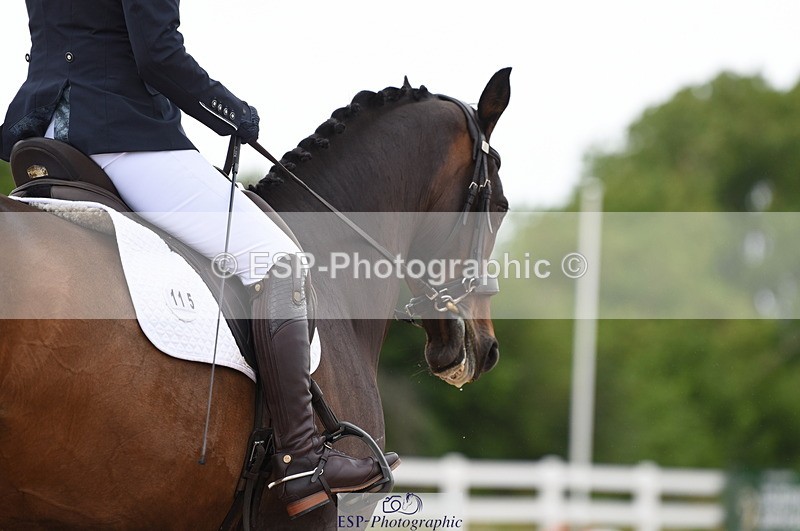 230630A-105226-00900 - Cls 4 Novice 23 Start to 11.30 break