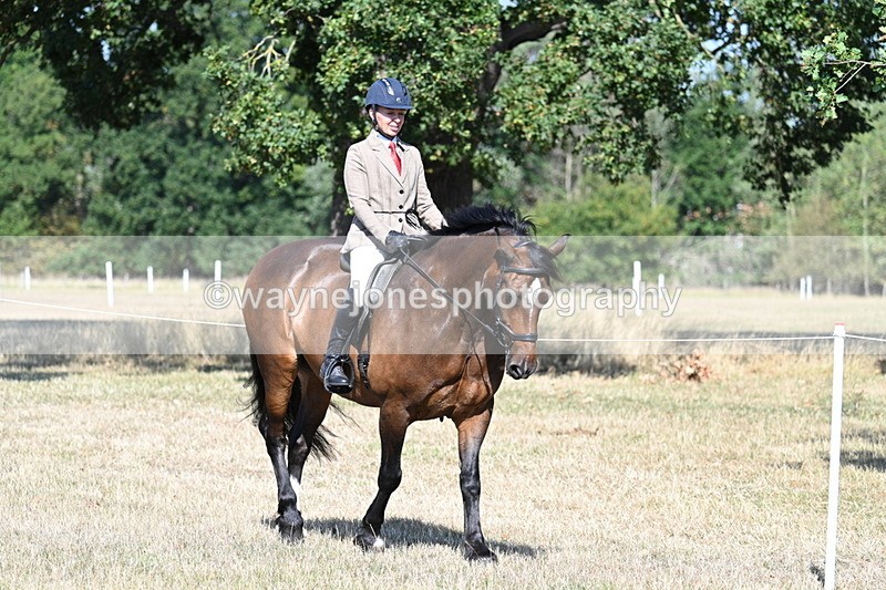 WJ7_3376 - Class 9 Mountain & Moorland Ridden