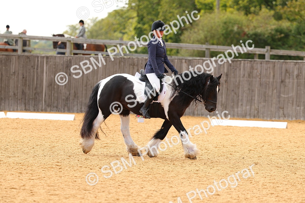 SBM_47424 - D6 - Small Tour Championship - Intro C