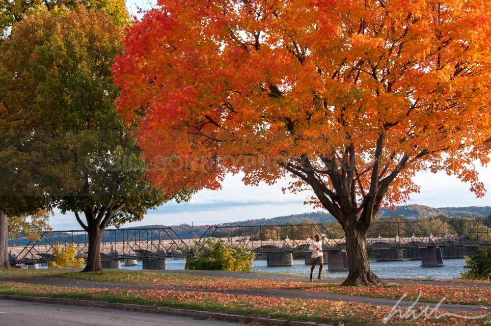 _WDB3125-Edit - Autumn