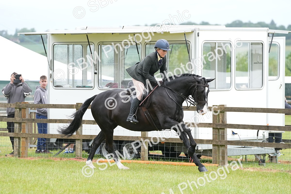SBM_12715 - Class 97-98 - LIHS BSHA Rising Star Working Show Horse Hunter
