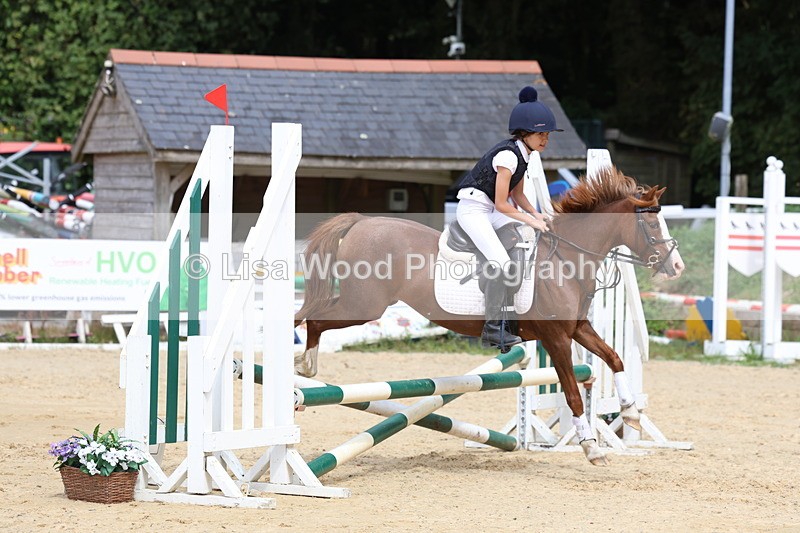 3E7A2009 - Class 10: Junior 60cm