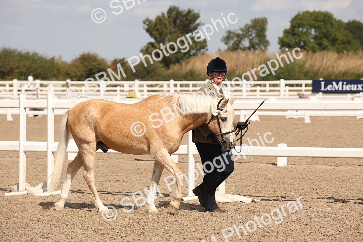 SBM_03374