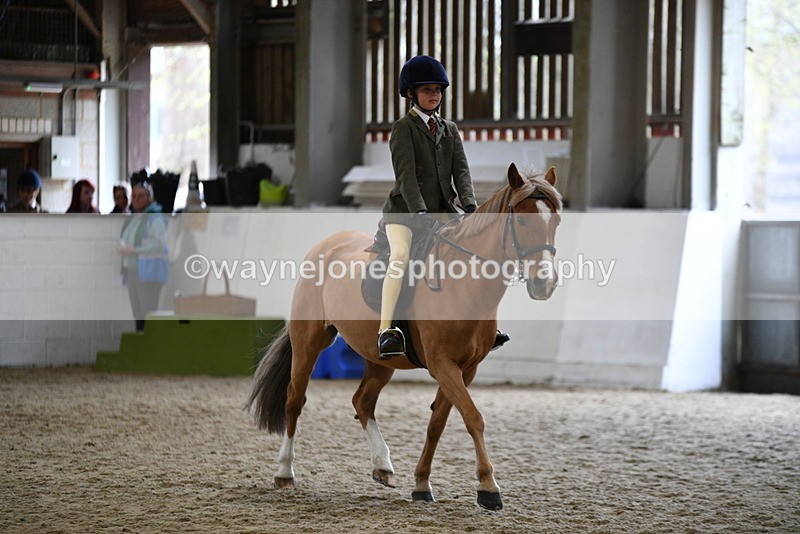 WJ5_7255 - Class 11 Ridden PC - RC Pony
