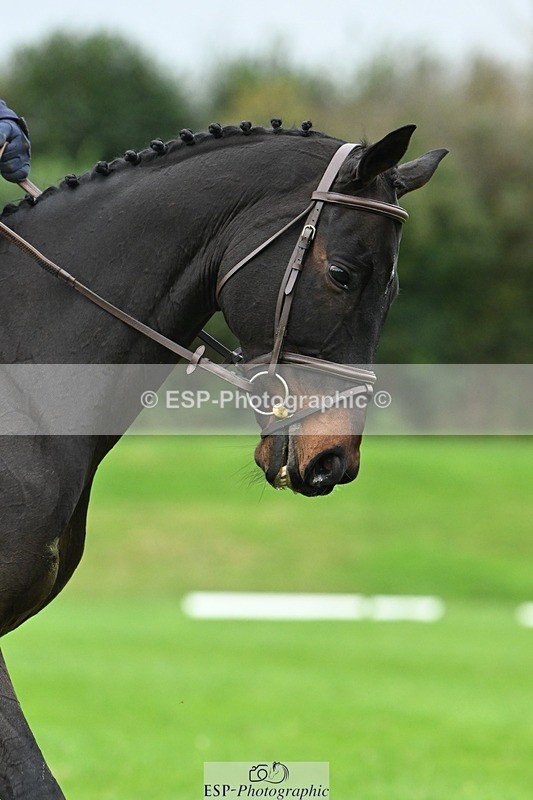 241024-112749-03233 - 507-Emilia.Pritchard-EMBEZZLED.LAW