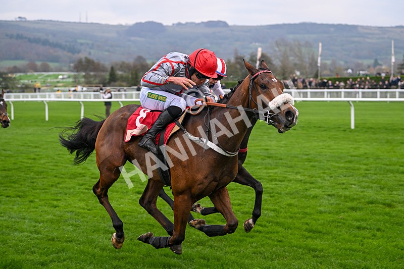 151124-Race 4-Sweet David-8240 - Race 4