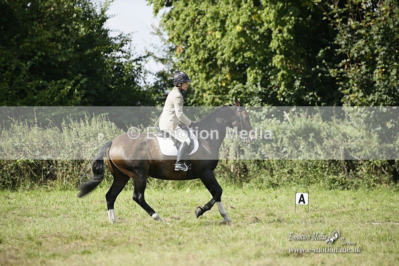 BVRC 120921 267 - Bourne Valley Riding Club UA Dressage & Show Jumping 12/09/21