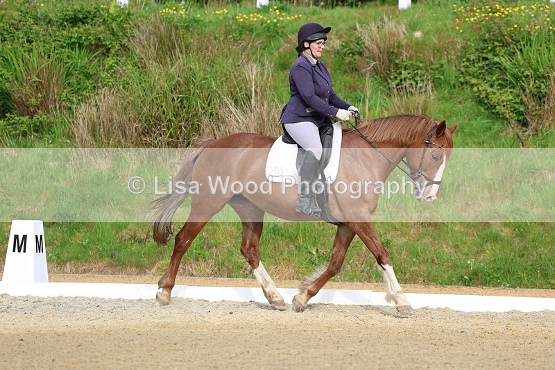 3E7A3348 - Class 2: INTRO B- INTRO 3 2024