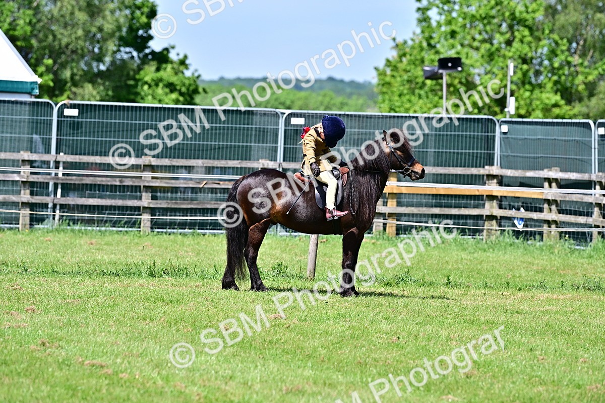 SBM_06104 - Class 59-60 - TSR M&M  Lear Rein and First Ridden Amateur of the year