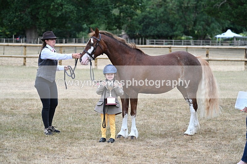 WJ7_9370 - Prettiest Mare Champs