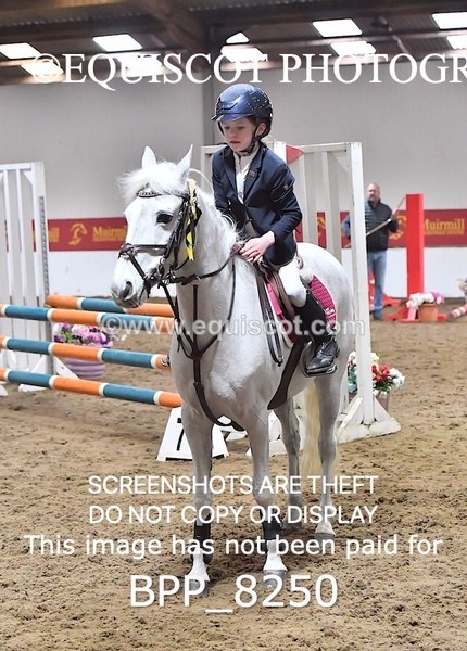 BPP_8250 - CLASS 3 Pony British Novice / 0.80m Open