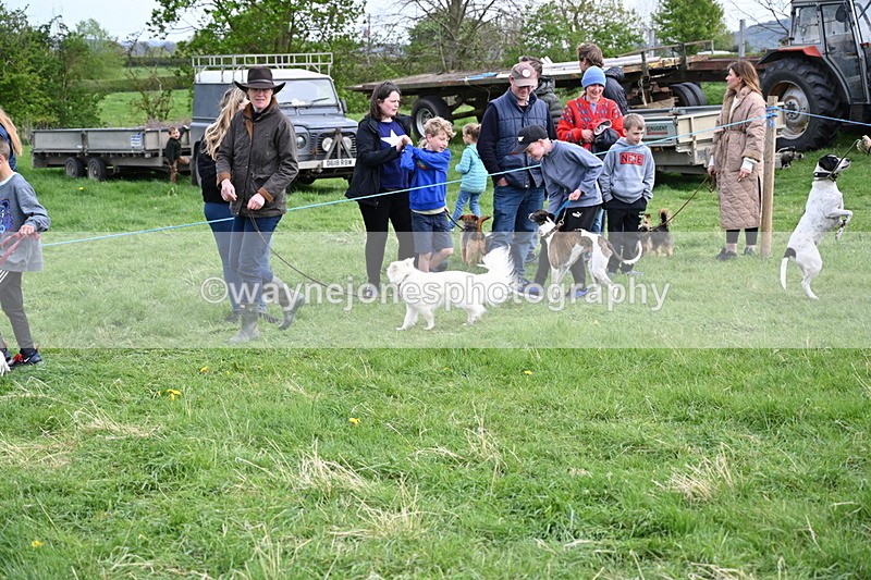 WJ6_8511 - Class 6 Best Rescue