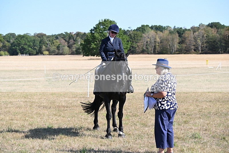 WJ6_7559 - Class 34 Judges Choice