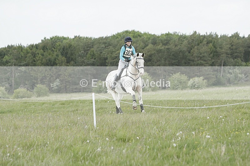 BVHT 140517  NXC -128 - Class 2 XC Novice 14/05/17
