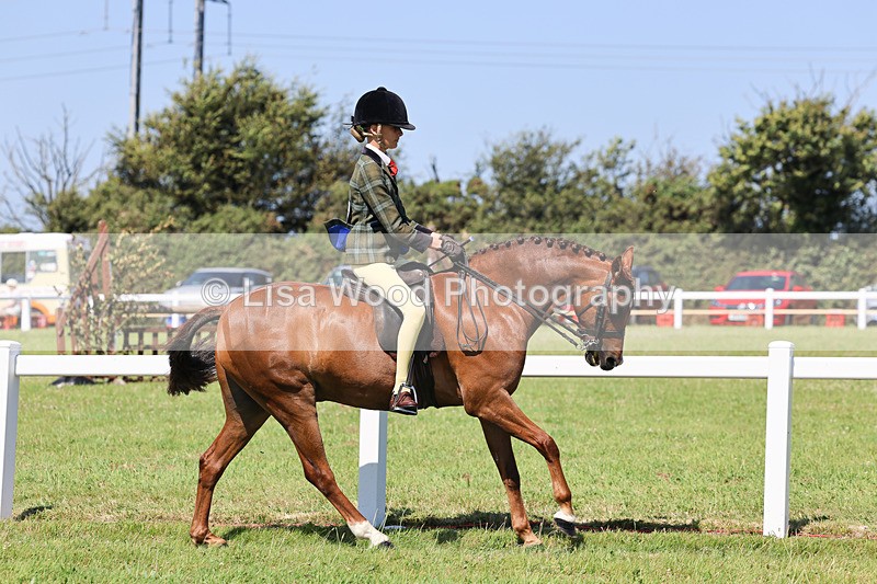 IMG_1997 - Class 34: Show Hunter Pony 153cm and under
