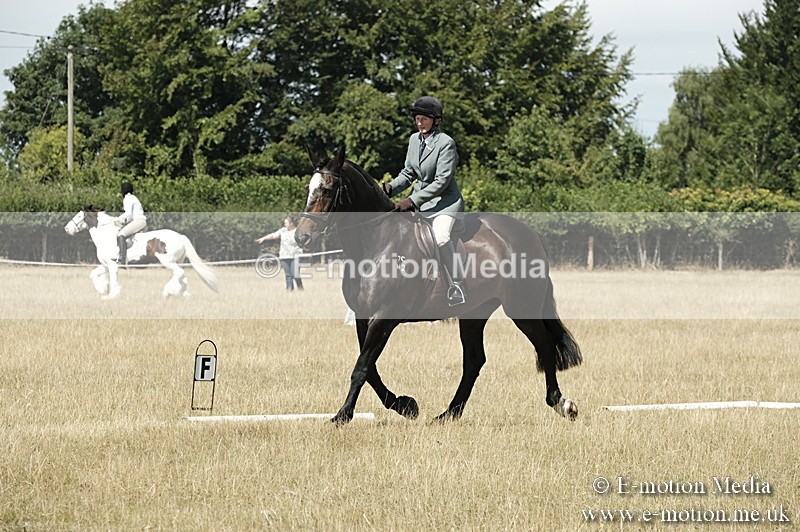 _PJP5820 - Dressage Classes BVRC Show 2018