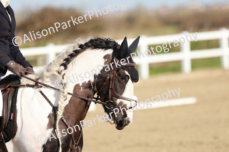 20260314-0051 - CT1 - Intro 1