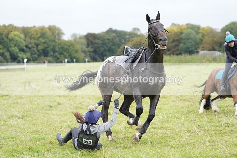 _DSC8446 - Time at Photographer 12:37 to 13:12