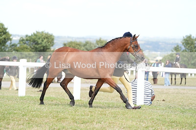 DSC07420 - Class 70: NPS SHP 4 years and over