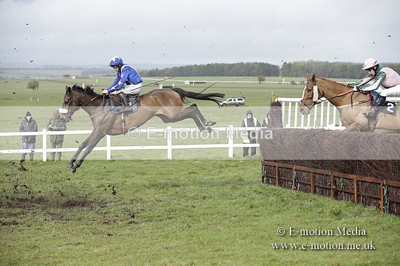 PtP 150320 0396 - New Forest Point-to-Point Larkhill 15/03/20