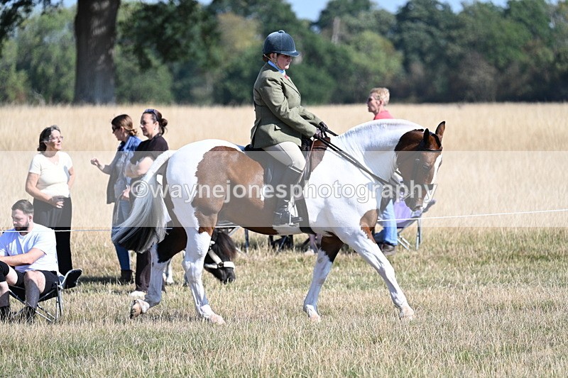 WJ7_3041 - Class 8 Ridden Tack & Turnout