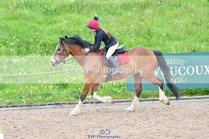 240518A-161649-02247 - Cls 7+8, 90cm and 1m