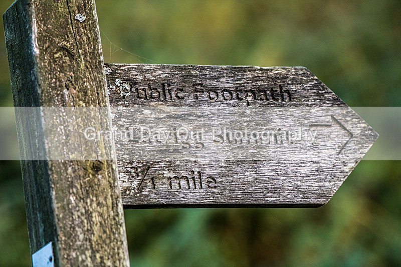 Not Latrigg-969 - Not Round Latrigg Fell Race Wednesday 13th August 2025