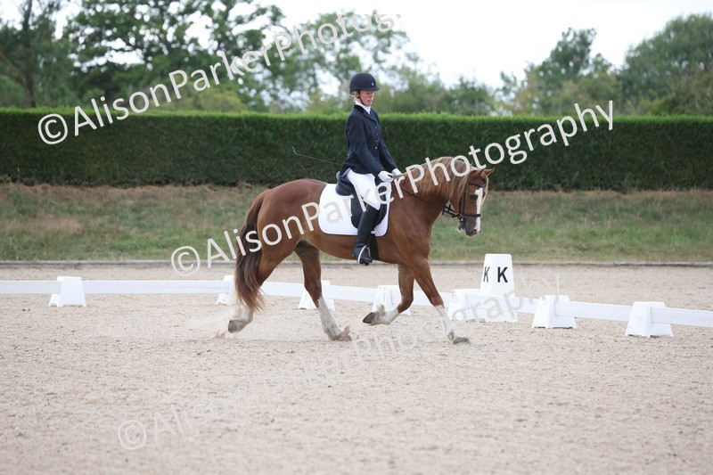 20250705-0023 - Class 1 - Intro 1