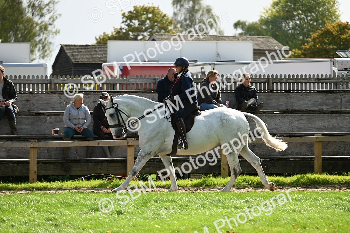 SBM_01809 - S2 - TSR Ridden Horse Showing