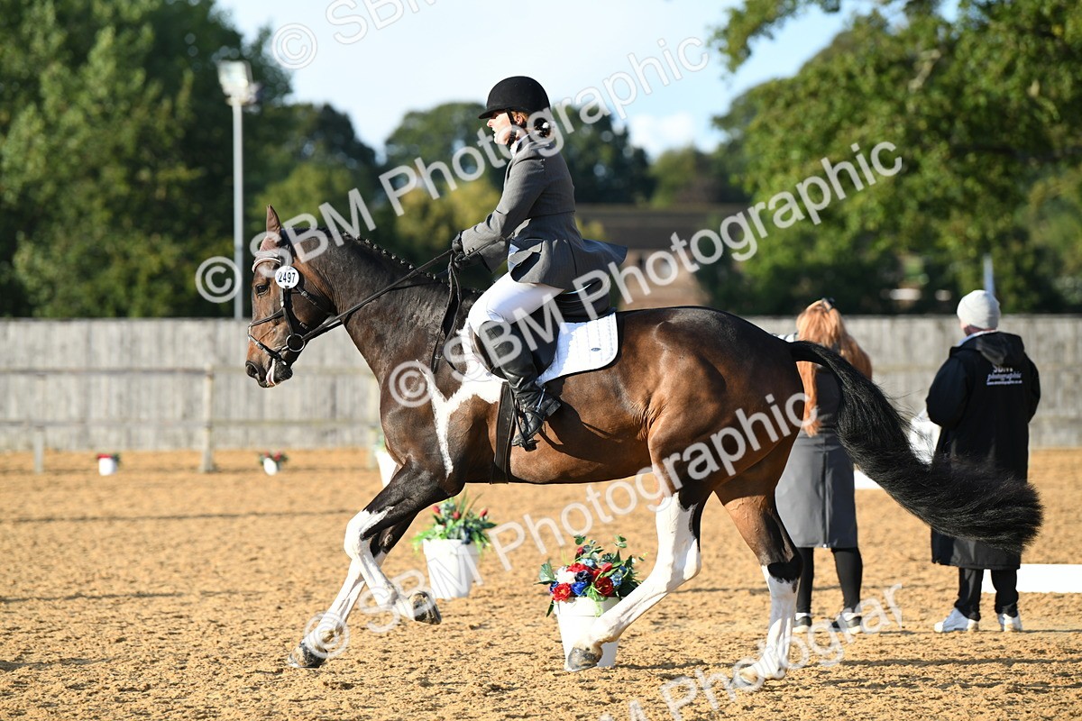 SBM_13429 - D19 Small Tour Championship Elementary 42